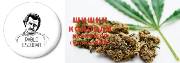 амф Верея