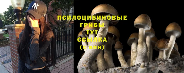 PSILOCYBIN Волоколамск
